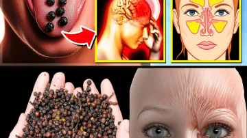 Seniors, Stop Eating These 7 Worst Fruits – They’re Hurting Your Leg Strength
