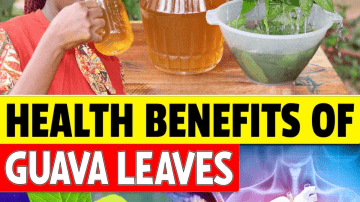 Seniors, Stop Eating These 7 Worst Fruits – They’re Hurting Your Leg Strength