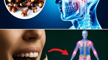Ginger and Oil Remedy: Traditional Treatment Support for Toenail Fungus