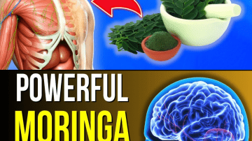 Miracle Alert! 1 Leaf That May Support Healthy Blood Sugar, Cholesterol, and a Trim Waist
