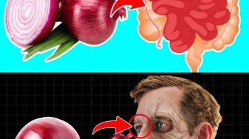 Miracle Alert! 1 Leaf That May Support Healthy Blood Sugar, Cholesterol, and a Trim Waist