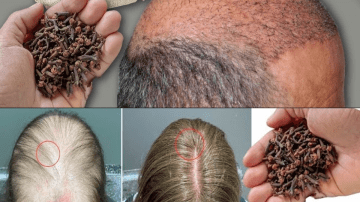 Miracle Alert! 1 Leaf That May Support Healthy Blood Sugar, Cholesterol, and a Trim Waist