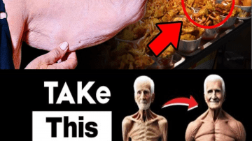 Miracle Alert! 1 Leaf That May Support Healthy Blood Sugar, Cholesterol, and a Trim Waist