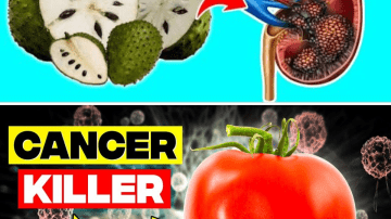 Miracle Alert! 1 Leaf That May Support Healthy Blood Sugar, Cholesterol, and a Trim Waist