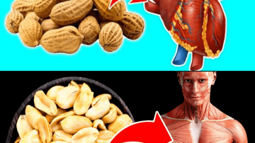 Miracle Alert! 1 Leaf That May Support Healthy Blood Sugar, Cholesterol, and a Trim Waist