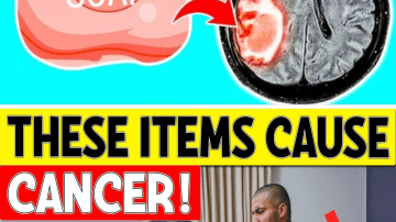 Miracle Alert! 1 Leaf That May Support Healthy Blood Sugar, Cholesterol, and a Trim Waist