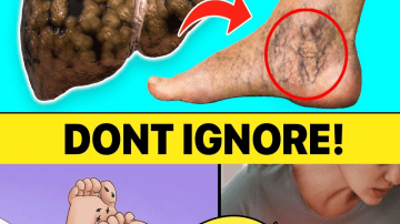 Miracle Alert! 1 Leaf That May Support Healthy Blood Sugar, Cholesterol, and a Trim Waist
