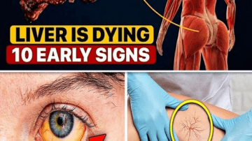 Unlock Vibrant Aging with This Ruby-Red Hibiscus, Avocado & Clove Elixir