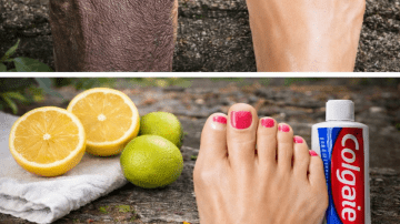 12 Moringa Seed Benefits You’ll Never Hear from Your Doctor (But You Should Know)