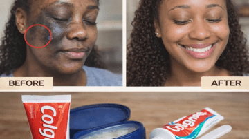 Don’t Toss That Avocado Pit! Discover the Hidden Power Inside