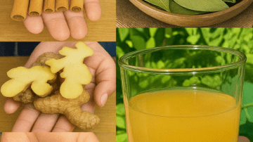 The Leaf That Kills Cancer Cells: Why It’s Still a Secret