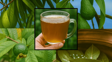 Eat These 3 Dry Fruits Before Bed to Support Vision and Memory Naturally