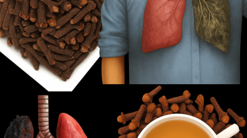 Eat These 3 Dry Fruits Before Bed to Support Vision and Memory Naturally