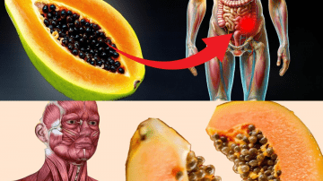 Doctors Are Stunned: Spinach – The Green Hero That May Spike Stroke Risk Overnight for Seniors on Blood Thinners?