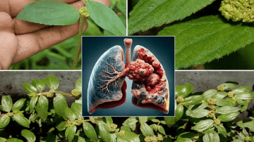 The Simple Bedtime Mineral That Fights Joint Pain, Diabetes, Anxiety, and Constipation
