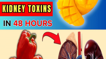 High Creatinine Levels? Unlock 3 Safe Vitamins to Embrace and 3 to Steer Clear Of