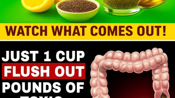 Your Legs Weaken First! 3 Drinks to Strengthen Them