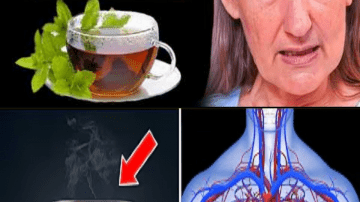 The 5 Best Foods to Boost Muscle in Seniors: Reclaim Your Strength Naturally