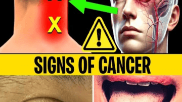 Mix This to Support Your Body’s Natural Detox: A Gentle Guide to Parasite Wellness