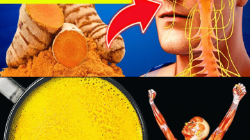 The Avocado Seed You’ve Been Throwing Away Could Save Your Heart (Yes, Really)