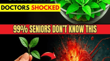 Eggshell Powder and Toothpaste: Unlock Tartar-Free Teeth Naturally at Home