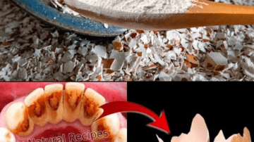 Seniors, Drink This Golden Milk to Support Knee Cartilage Health