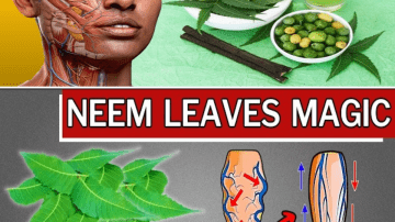 This Tea Heals Veins and Stops Leg Pain Fast!