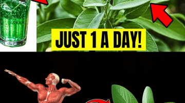 Unlock Nature’s Crimson Secret: Mix Hibiscus, Bay Leaves & Cinnamon Tonight—Your Body Will Thank You Tomorrow