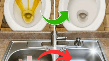 Seniors: The Vitamin That Helps Protect Against Leg Blood Clots