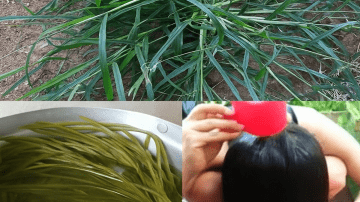 Seniors: The Vitamin That Helps Protect Against Leg Blood Clots