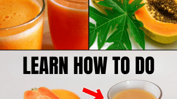 The Key Food for Maintaining Muscle Strength in Older Adults