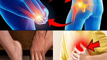 This Cheap Vitamin That Could Transform Poor Circulation in Days