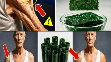 12 Surprising Benefits of Lemons You Need to Know