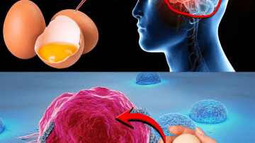 Drink 1 Cup to Get Rid of Phlegm and Mucus | Top 10 Drinks to Try at Home