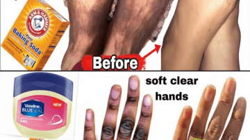 Té de Cebolla Morada: La Infusión Púrpura que Limpia tus Arterias, Desinflama tu Corazón y Te Regala Latidos Jóvenes en Semanas