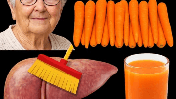 Seniors: Eat These 4 Nuts Before Bed to Restore Clear Vision Naturally