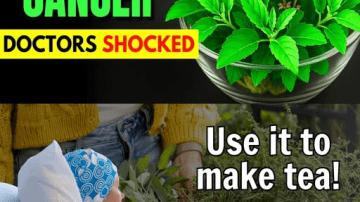 As a Brain Doctor, I’m Shocked: This Vitamin Could Raise Stroke Risk Overnight