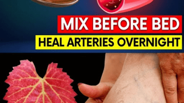 12 Everyday Herbs That Could Quietly Support Your Body’s Defenses Against Cancer (Unlock Nature’s Hidden Edge)