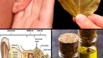 Get Your Kidneys Back and Stop Proteinuria in 7 Days With These 5 Simple Drinks!