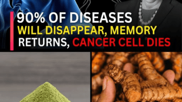 Garlic: Nature’s Antibiotic That Fights 14 Bacteria and 13 Infections