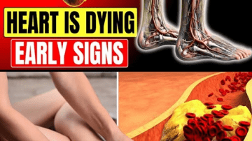 Discover the Nobel Prize Secret: Eat These Humble Foods Daily to Unlock Your Body’s Hidden Longevity Potential