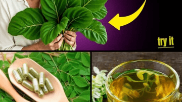 Discover the Refreshing Power of Cucumber: A Natural Way to Soothe and Hydrate Wrinkled Skin