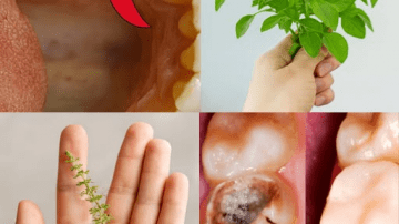 Miracle Red Juice: A Natural Boost for Your Health