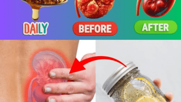 The One Bitter Leaf That’s Quietly Making Pillboxes Obsolete for Americans Over 60