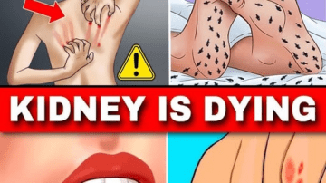 Eat These 3 Dry Fruits Before Bed to Support Vision and Memory Naturally