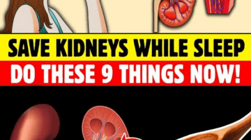 Eat These 3 Dry Fruits Before Bed to Support Vision and Memory Naturally