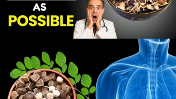 Transform Your Mornings: Discover the Power of 7 Days of Healthy Smoothies