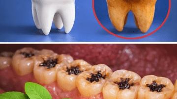 6 Seeds Seniors Should Eat Daily to Fight Cancer Naturally