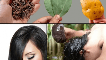 The #1 Supplement Emerging for Blood Sugar Support in Diabetics