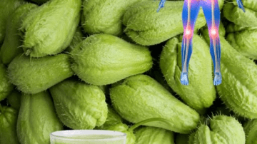 Urologist Shocked: 11 Surprising Health Benefits of L-Citrulline You Need to Know